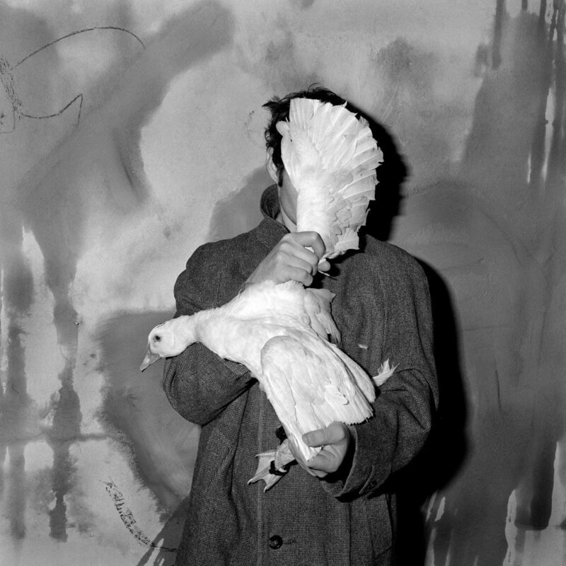 Roger Ballen, ‘Blinded’, 2005, Photography, Archival Pigment Print, Fahey/Klein Gallery