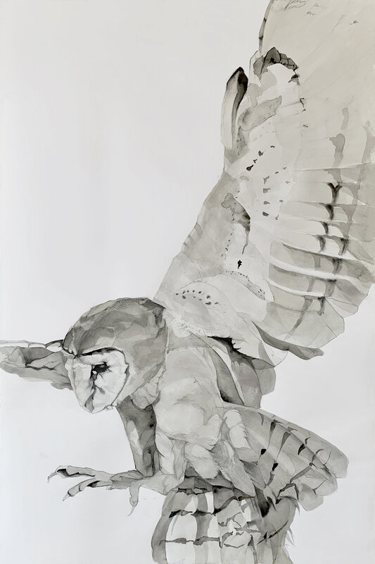 Heather Lancaster, ‘Pitch’, 2019, Drawing, Collage or other Work on Paper, Graphite, charcoal, ink/India ink on paper, Spalding Nix Fine Art