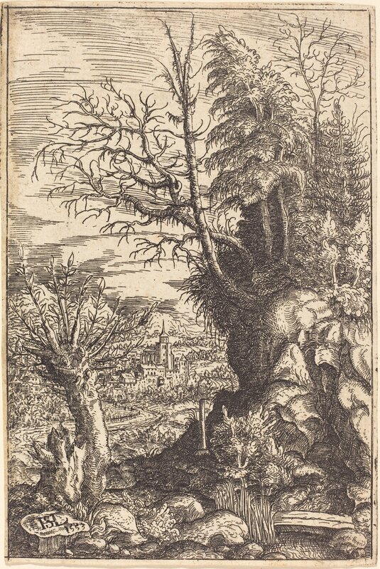Hans Sebald Lautensack, ‘Landscape with a Willow’, 1553, Print, Etching, National Gallery of Art, Washington, D.C.