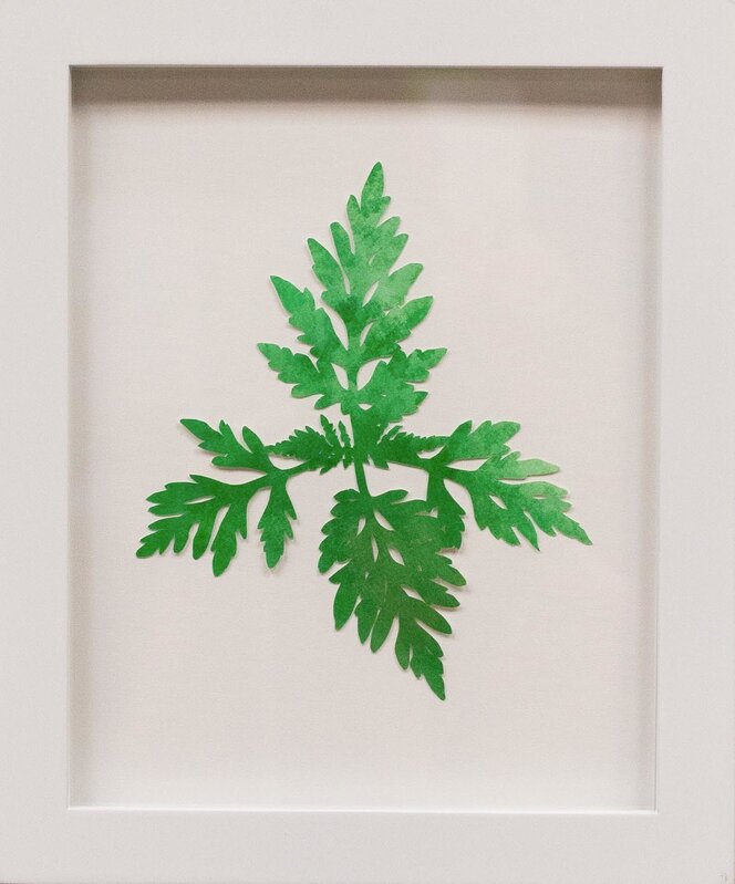 Hannah Cole, ‘Tiny Lacy Weed’, 2018, Painting, Watercolor on cut paper, Tracey Morgan Gallery