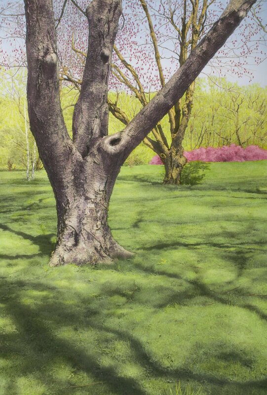 Maria Muller, ‘Tree with Red Buds and Pink Bushes’, N/A, Photography, Hand painted photograph, Pucker Gallery