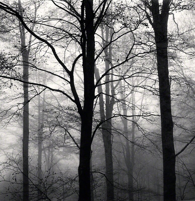 Michael Kenna, ‘Forest Mist, Study 1, Rigopiano, Abruzzo, Italy’, 2015, Photography, Toned gelatin silver print, G. Gibson Gallery