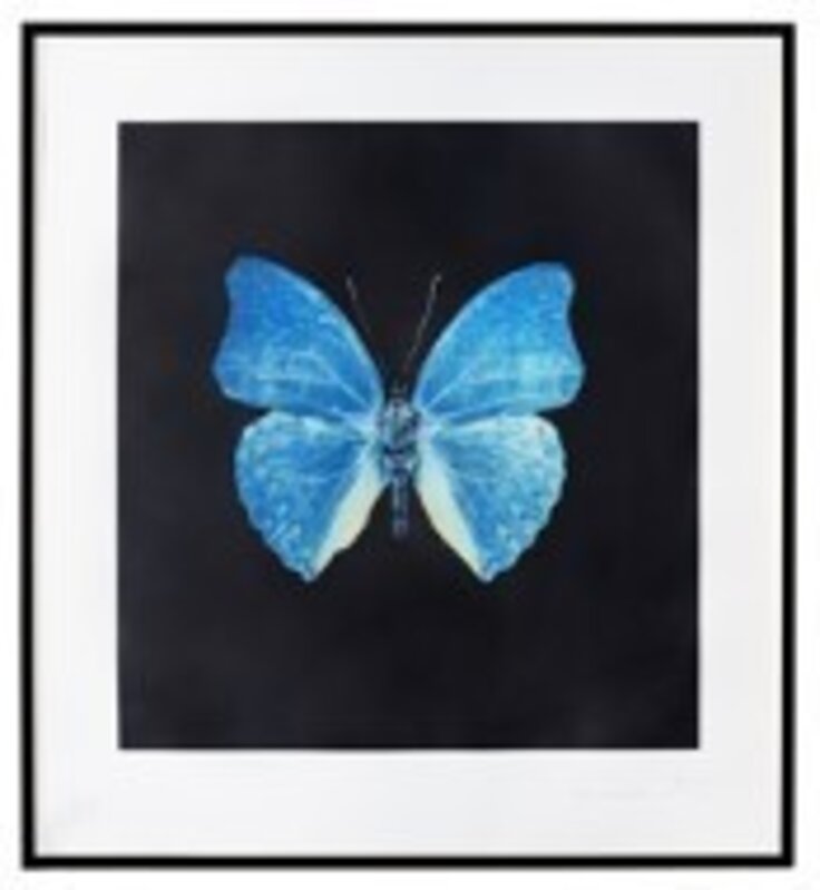 Damien Hirst, ‘Unique Sky Blue Butterfly’, 2009, Print, Unique photogravure etching on wove paper, Tate Ward Auctions