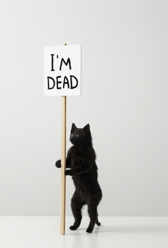 David Shrigley, ‘I'm Dead’, 2011, Sculpture, Taxidermy cat, Galleri Nicolai Wallner