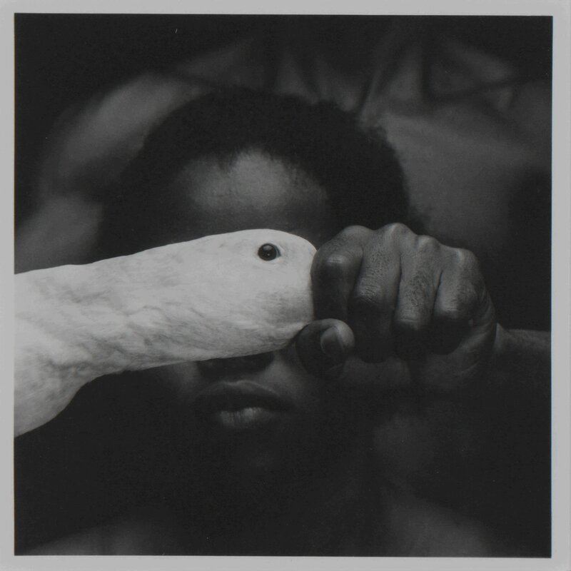 Mario Cravo Neto, ‘Odé’, 1989, Photography, Platinum print, Doyle