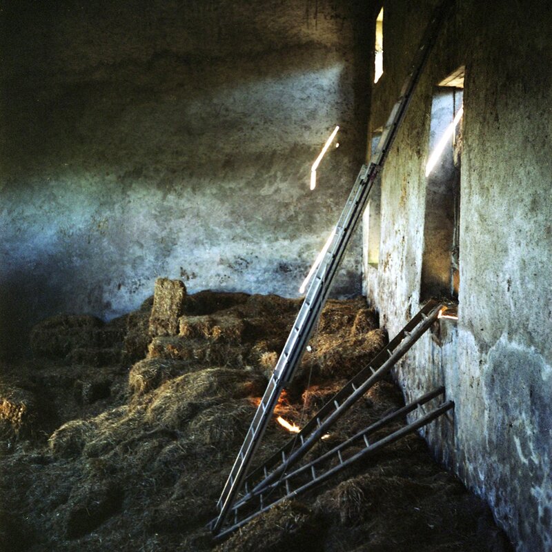 Dianne Bos, ‘La Porte: Barn Ladders’, 2012, Photography, C-Print, Newzones