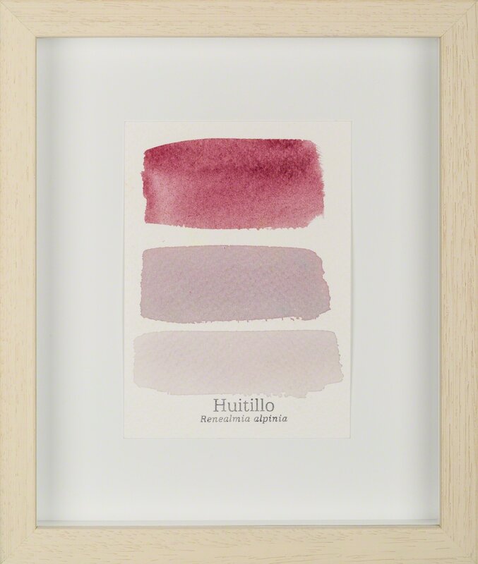 Susana Mejía, ‘Serie Huitillo I’, 2015, Drawing, Collage or other Work on Paper, Watercolor on watercolor paper, Galería de la Oficina