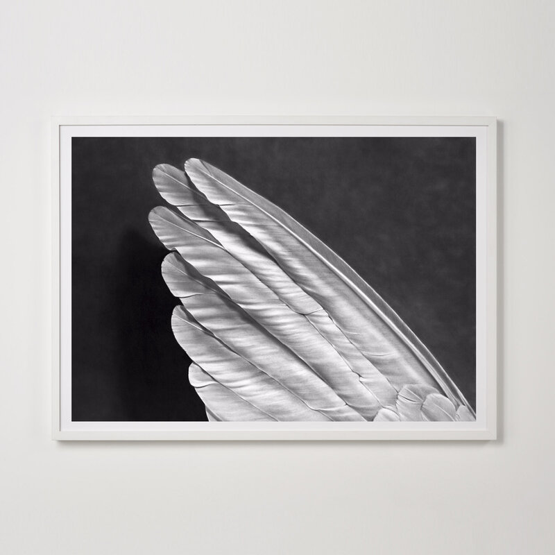 Robert Longo, ‘Angel´s Wing (Small Version)’, 2013, Print, Pigment Print, Weng Contemporary