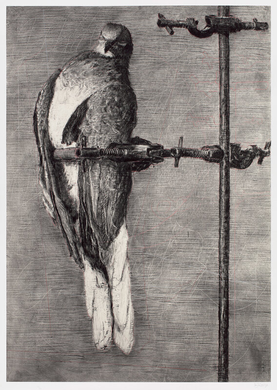 William Kentridge, ‘Bird Catcher’, 2006, Print, Archival pigment print, on Gokung Korean Paper, with full margins., Phillips