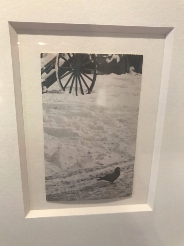 André Kertész, ‘Pigeon in the Snow’, ca. 1950, Photography, Vintage Gelatin Silver Print, Weston Gallery