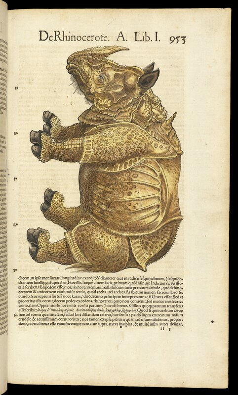 Conrad Gessner, ‘De rhinocerote’, 1551, Letterpress, woodcut, hand-colored, Getty Research Institute