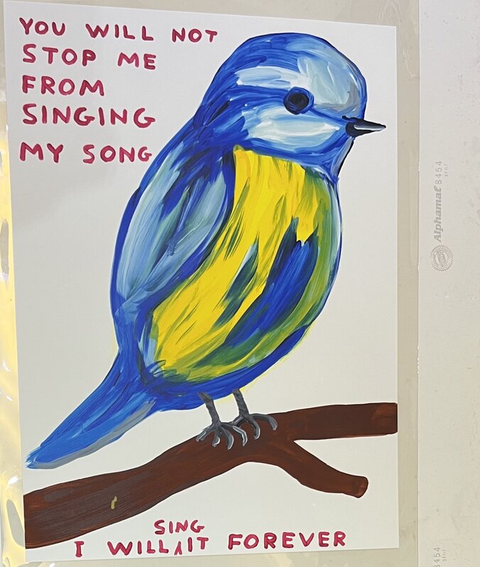 David Shrigley, ‘You will not stop me from singing my song. (pls enquire for price and info)’, 2021, Print, 27 colour screenprint with a varnish overlay printed on Somerset Satin Tub 410 gsm., Mr Lims Shop of Visual Treasures