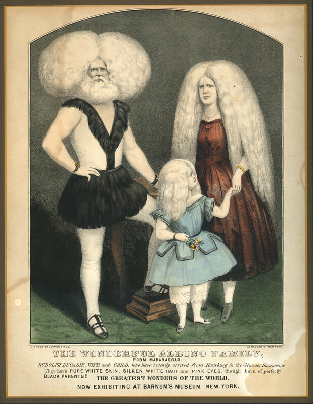 Currier & Ives, ‘The Wonderful Albino Family, from Madagascar … now exhibiting at Barnum’s Museum in New York’, ca. 1860, Print, Lithograph with publisher’s watercolour, Andrew Edmunds