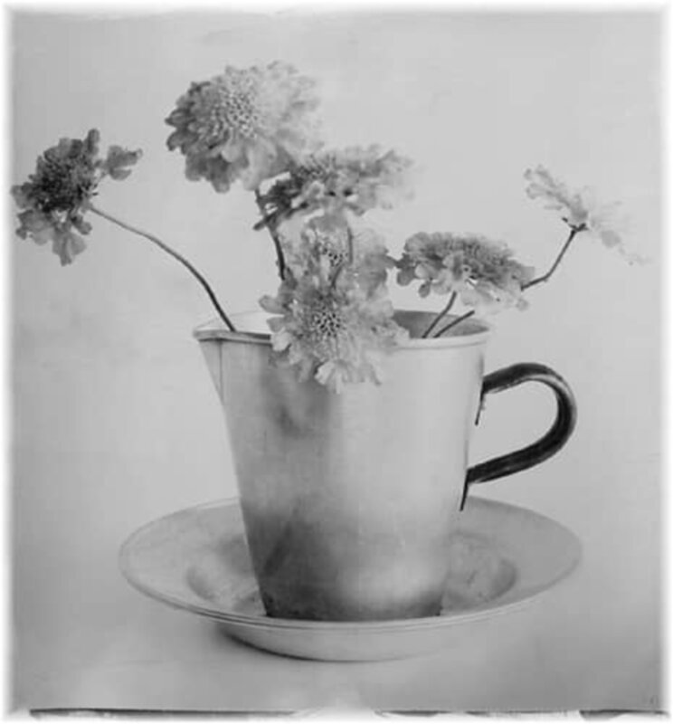 Stephen Inggs, ‘Jug with flowers’, 2006, Photography, Hand painted silver gelatin emulsion on 100% rag paper, HackelBury Fine Art