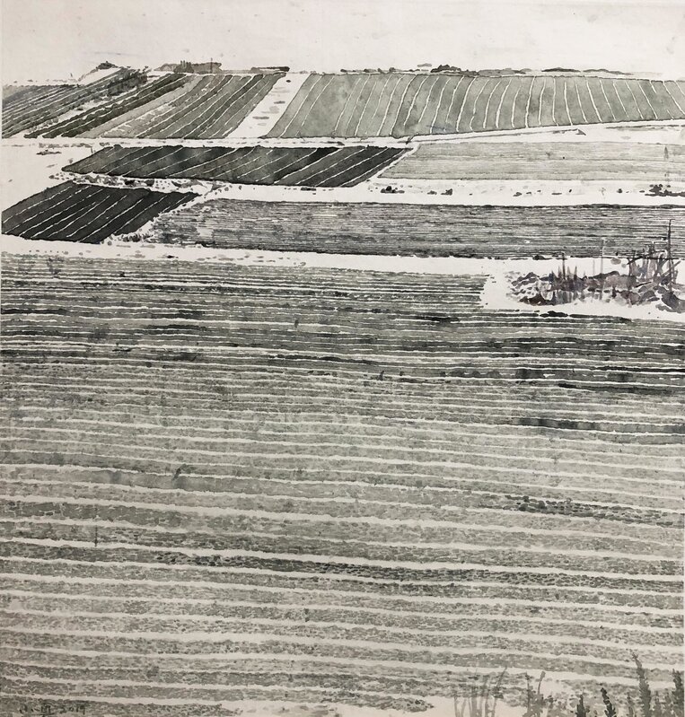 Ding Xiaozhen 丁小真, ‘Fields’, 2019, Painting, Ink on paper, AROUNDSPACE GALLERY