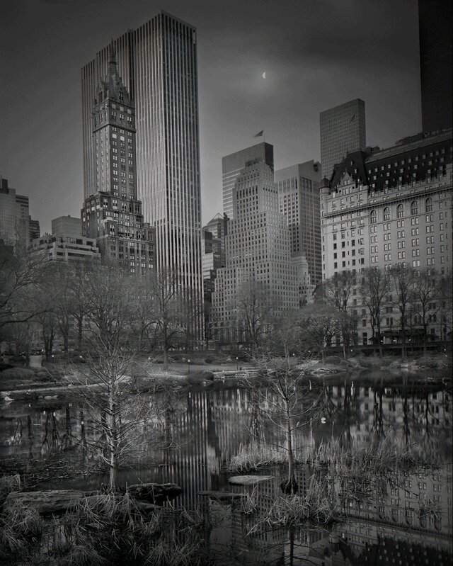 Michael Massaia, ‘Half Moon - Pre-Dawn - Deep In A Dream - Central Park’, 2009, Photography, Selenium Toned Silver Gelatin Photograph, Holden Luntz Gallery