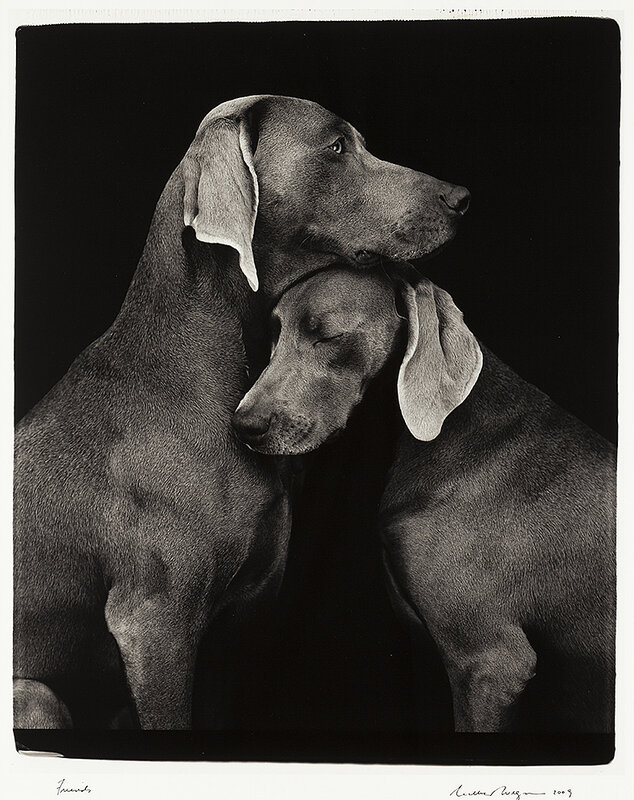 William Wegman, ‘Friends’, 2009, Photography, Archival pigment print, on Museo Silver Rag., Larsen Warner