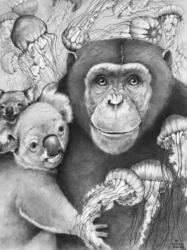 Adonna Khare, ‘Chimp and Koala’, 2020, Drawing, Collage or other Work on Paper, Carbon pencil on paper, Visions West Contemporary