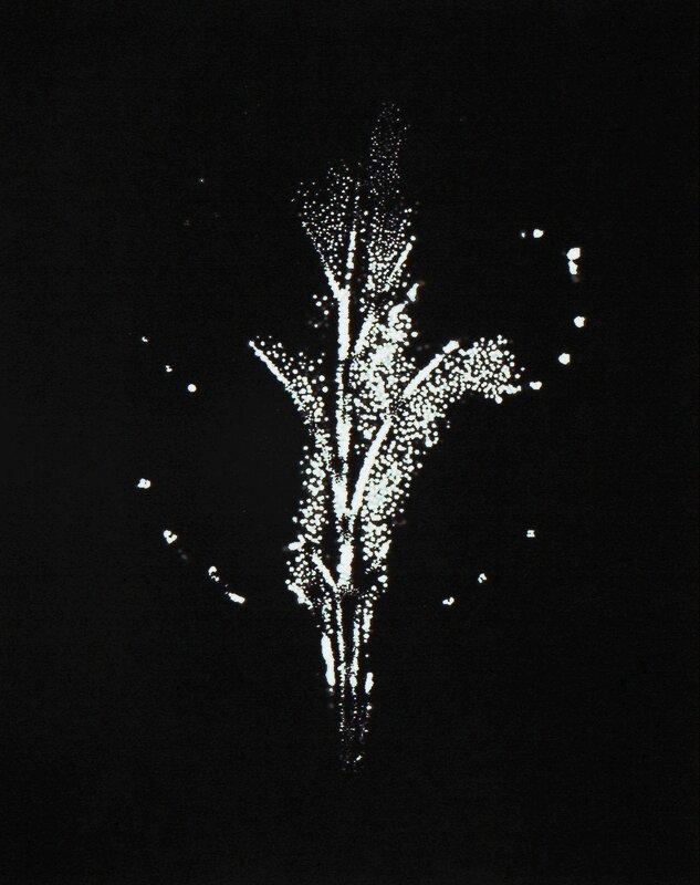 Wataru Yamamoto, ‘A Chrysanth Leaf 1, from the series "Leaf of Electric Light"’, 2012, Photography, Silver gelatin print, CHRISTOPHE GUYE GALERIE 
