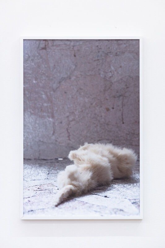 Anna Betbeze, ‘Bunny’, 2021, Photography, Framed archival print, Nina Johnson