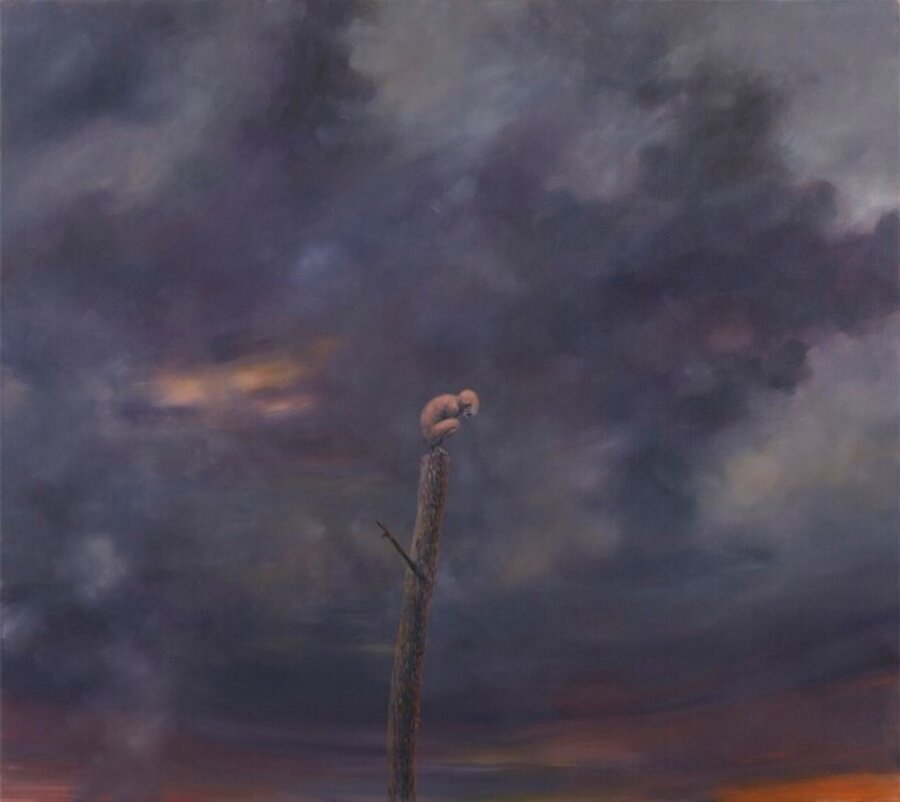 Stranded II