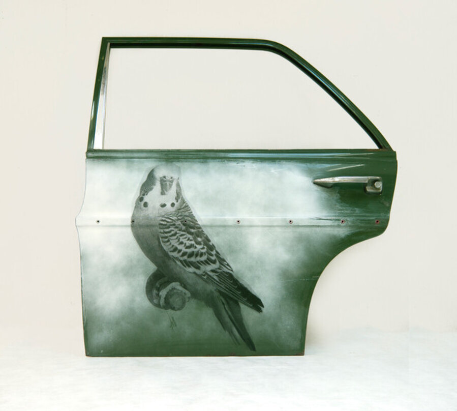 Door Bird