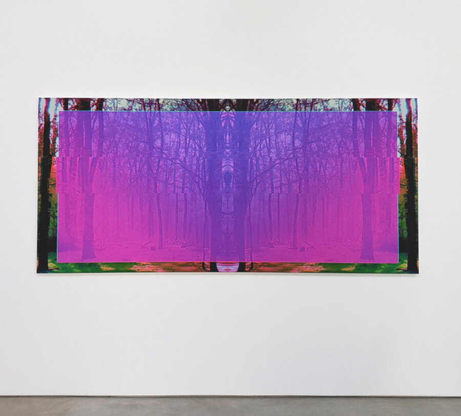 Forest 2