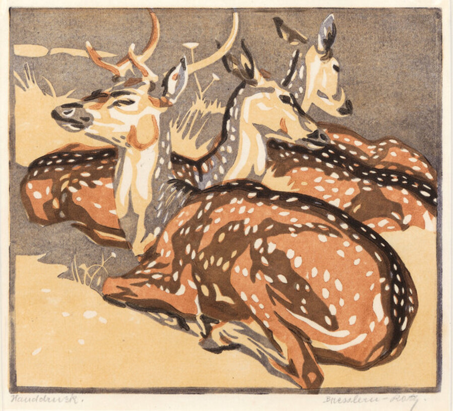 Axisdeer