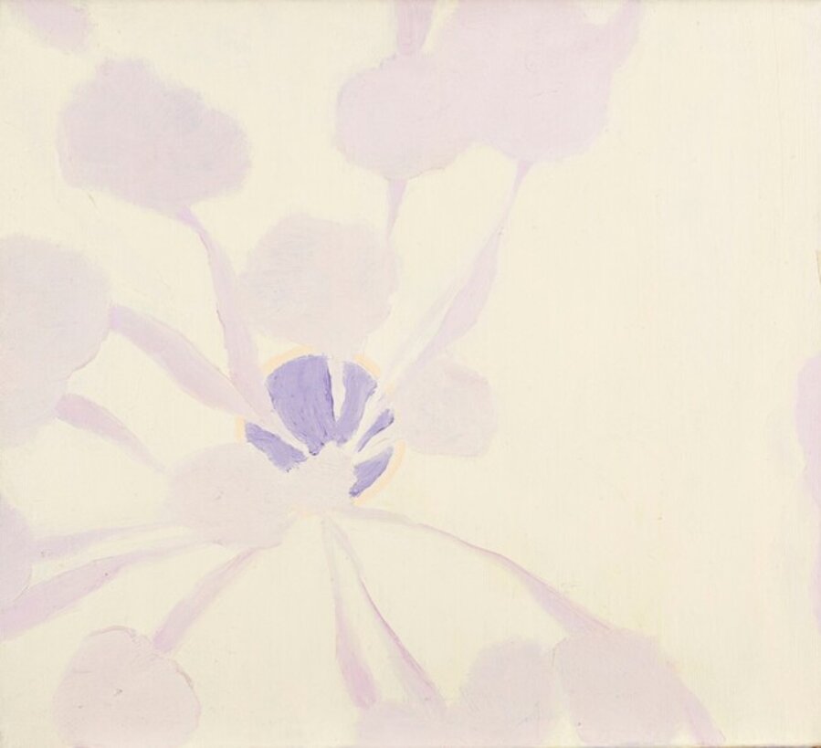 Vase of flowers from above