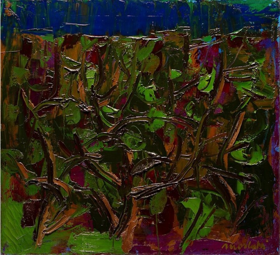 Paesaggio di Liguria