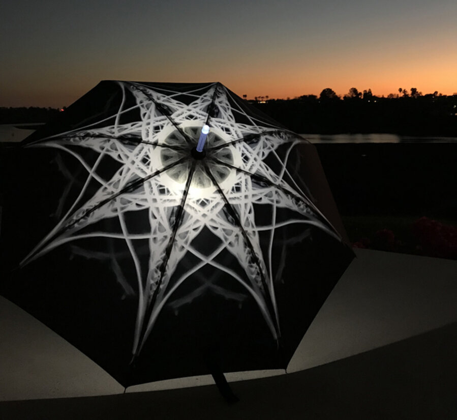 Shoreline Project: X-Ray Mandala Umbrella (black against white)