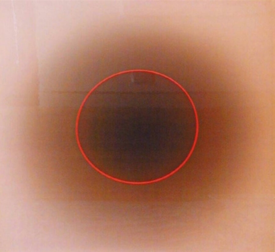 Toward a Solar Eclipse, January 20 1999