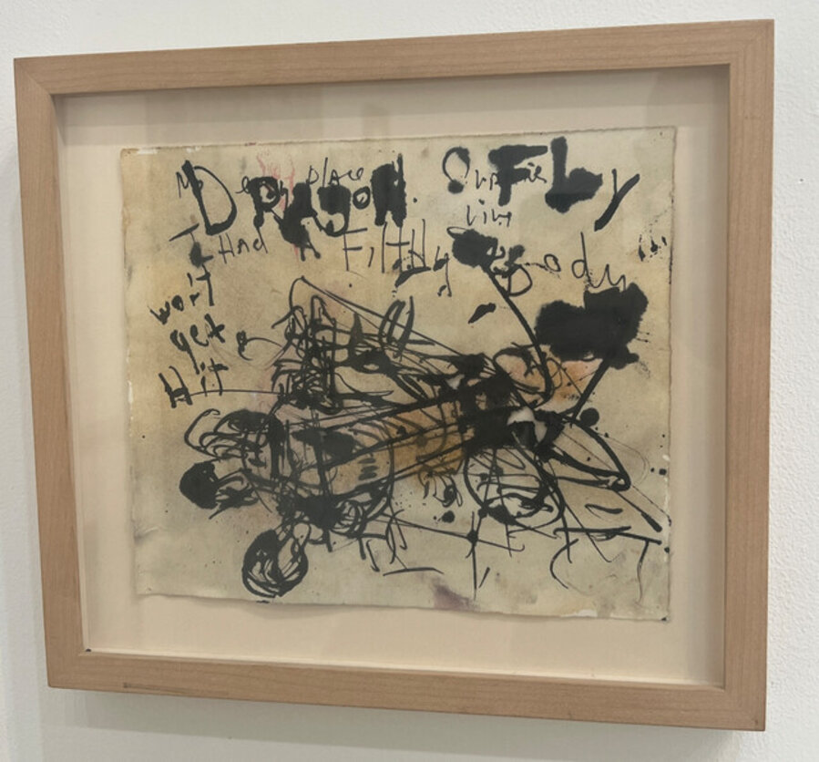 Untitled (Dragon Fly)
