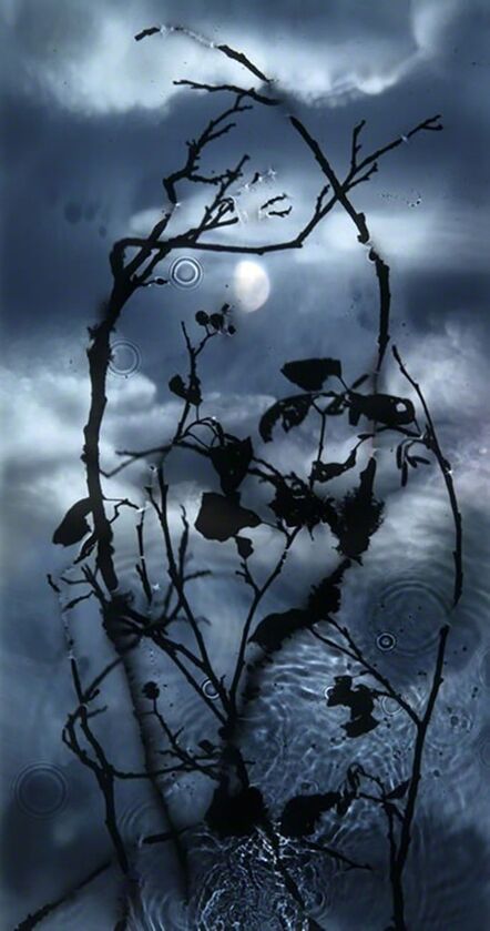 Susan Derges, ‘Gibbous Moon’, 2010