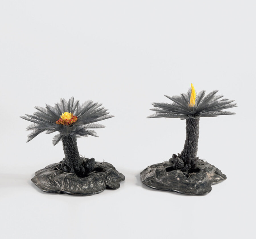 Cycas orogeny maquette #2