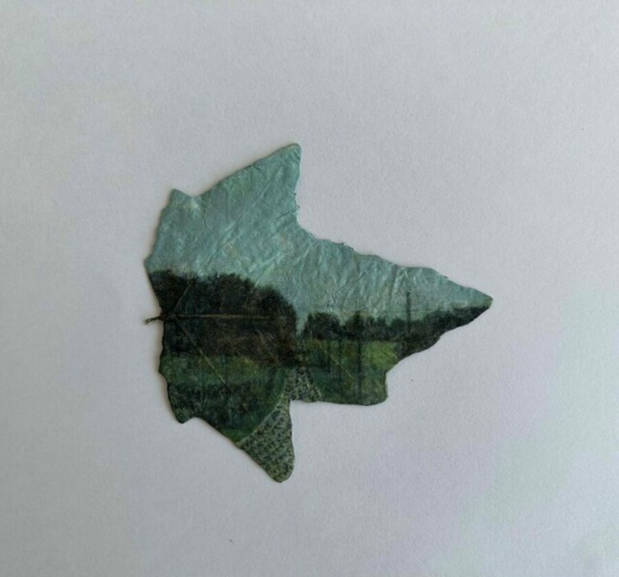 Leaf Horizon 1