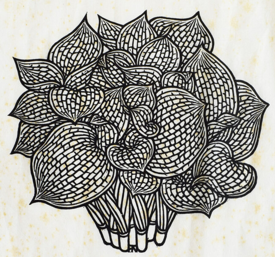 Seersucker, from: Flora Exotica: A Collection of Flowering Plants