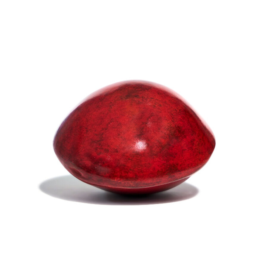 Saga Seeds