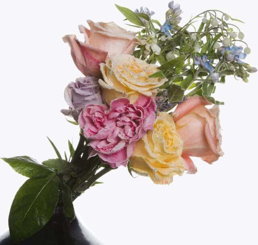 Frozen Flowers
