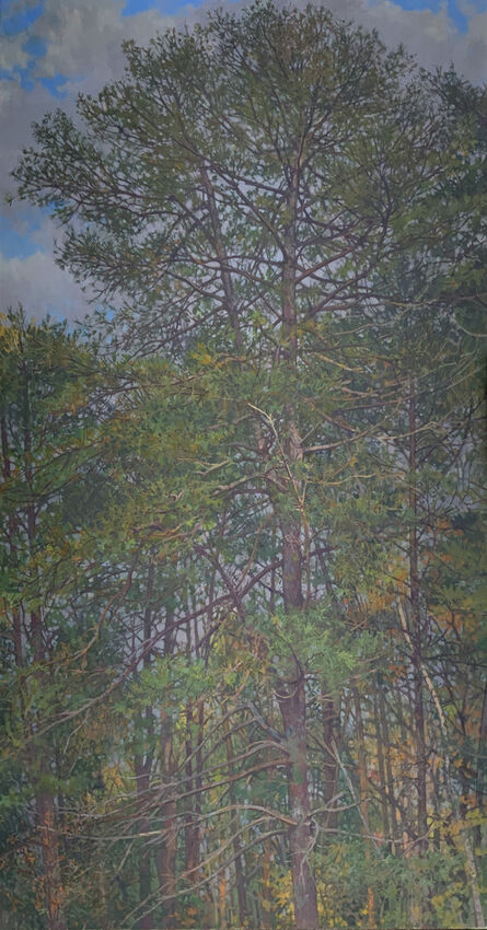 Richard Raiselis, ‘Cloudy Pine’, 2022