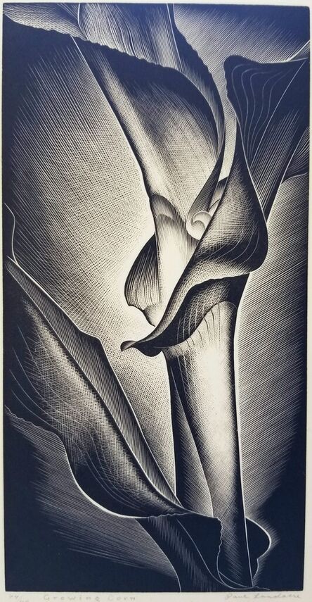 Paul Landacre, ‘Growing Corn’, 1938