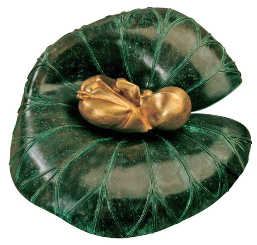 Embryonic Form on Lotus Leaf