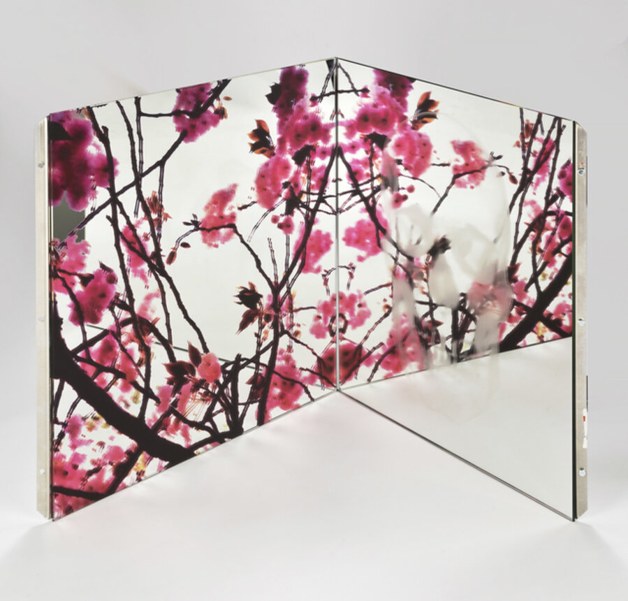 Sakura-Vanity