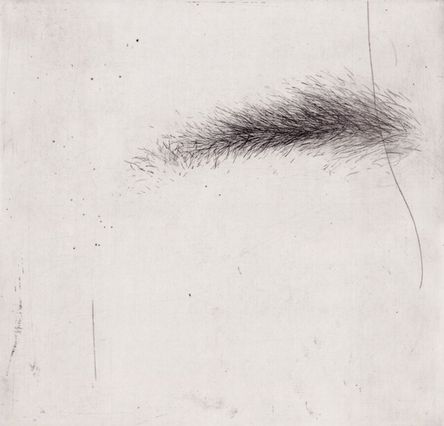Eyebrow