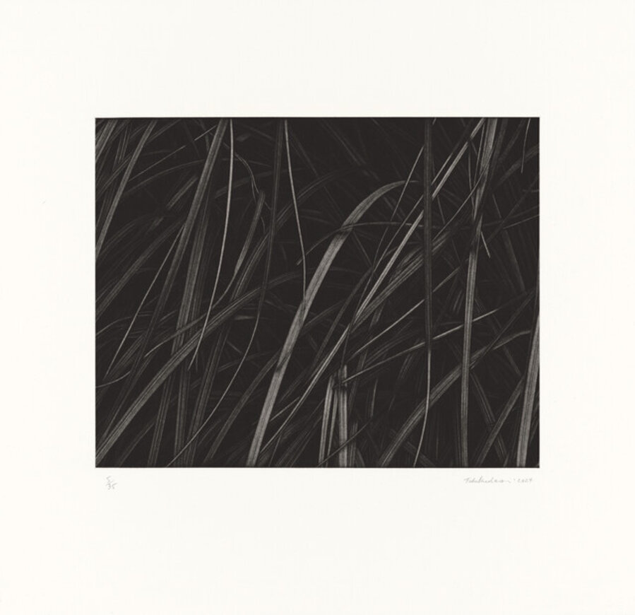 Untitled 2