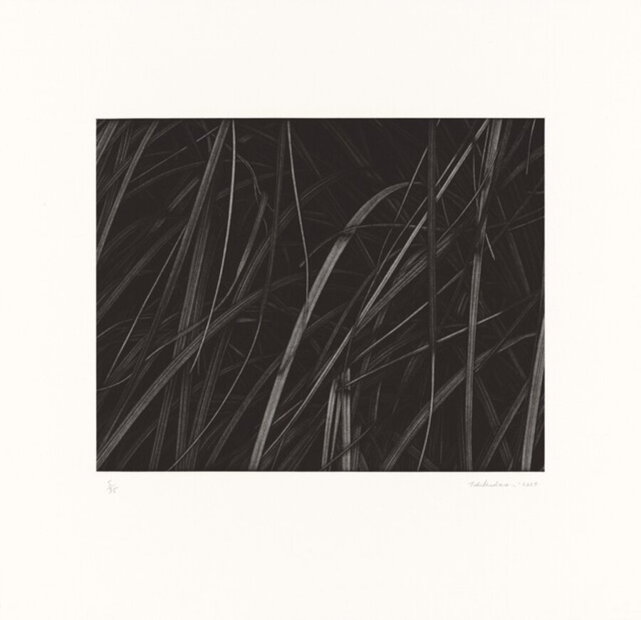 Untitled 2