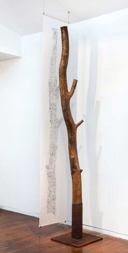 John Wolseley, ‘Black wattle tree trunk from Sawpit camp with suspended drawing’, 2019