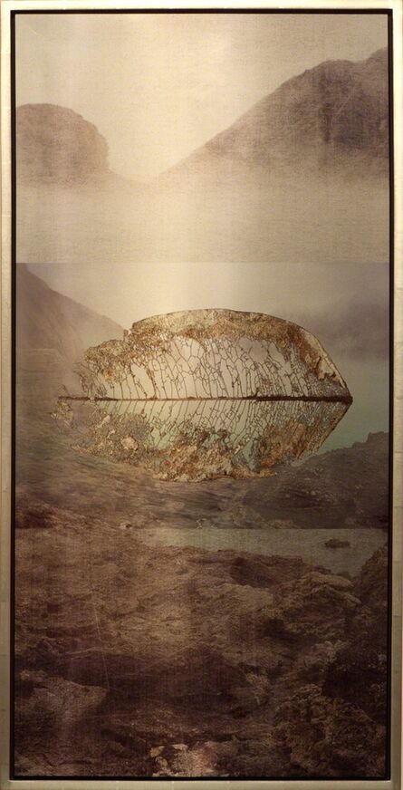 Meridel Rubenstein, ‘Volcanic Leaf Suspended’, 2011