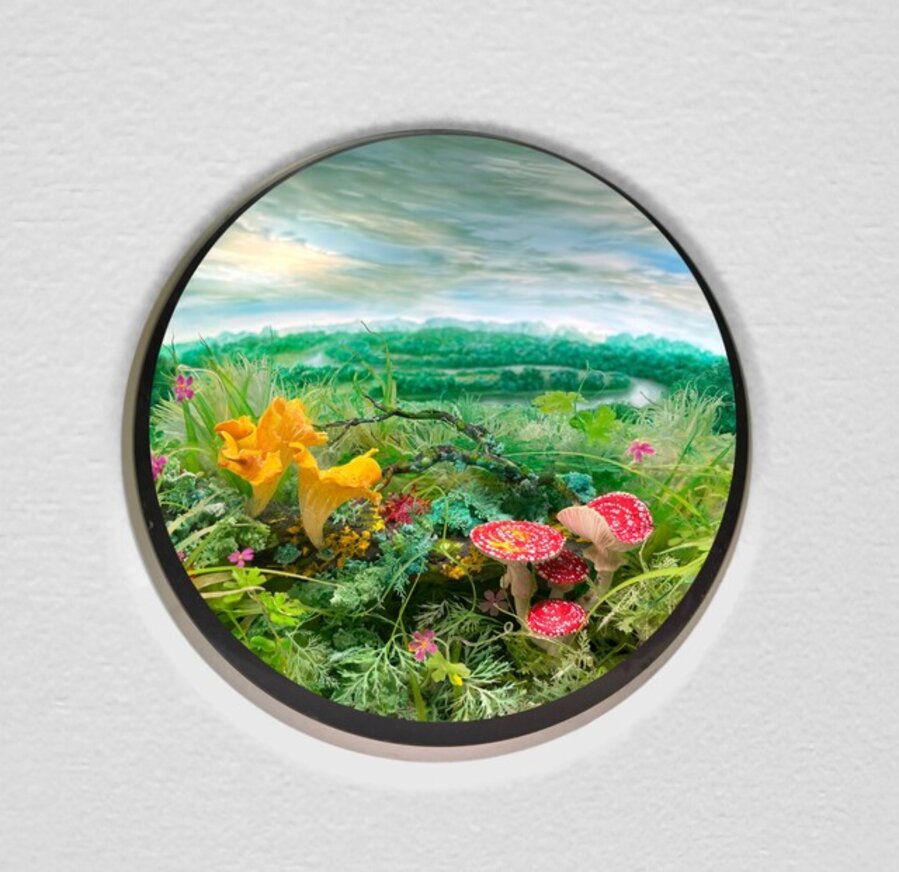 Landscape with Chanterelles and Fly Agarics (diorama viewed through 3 inch window)