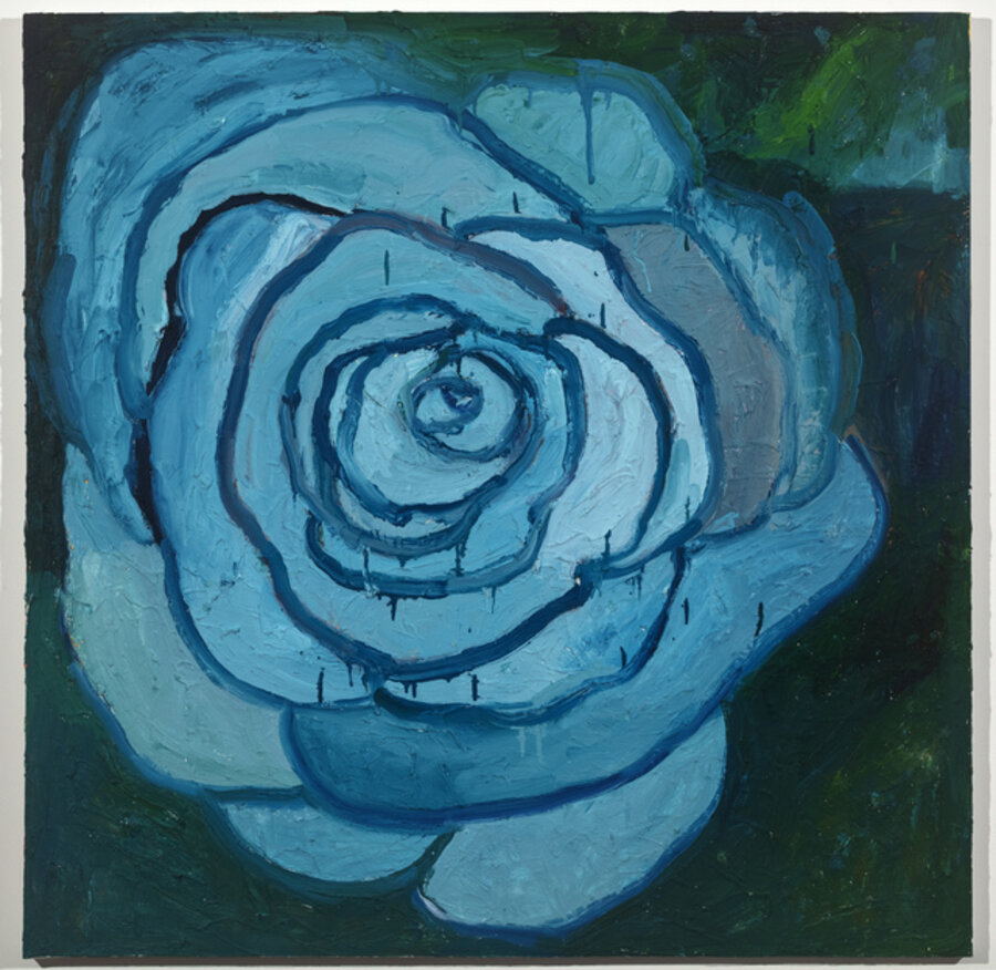 Blue Punk Camellia